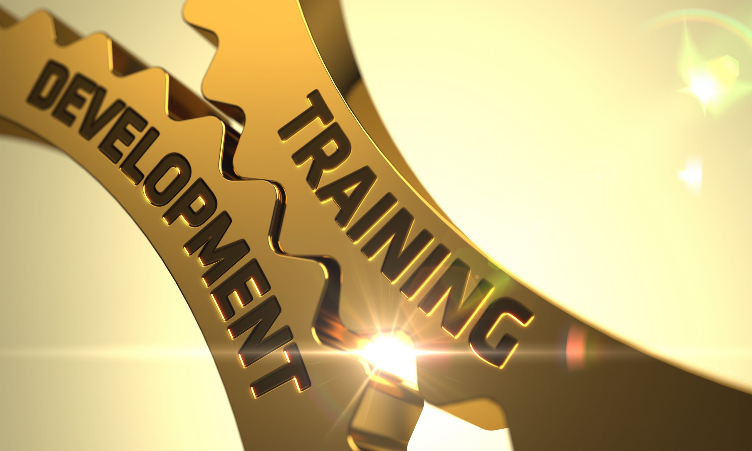 Exploring the Vitality of Training and Development in the Modern Workplace